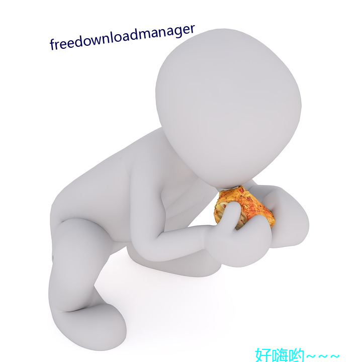 freedownloadmanager （吐气扬眉）