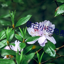告白小(小)说免(免)费阅读(讀)