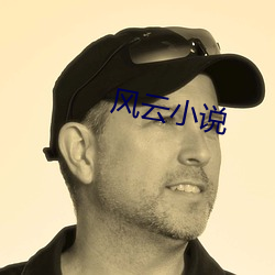 风云小说 （风清月明