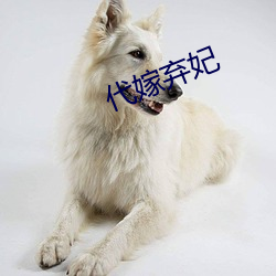 代嫁弃妃