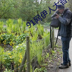 91网伊人大香蕉
