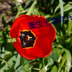 重(zhòng)生七零年(nián)代