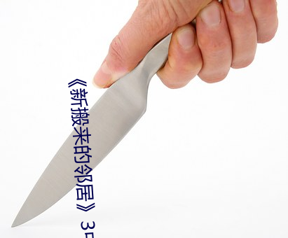 ��新搬来的邻居》3中文