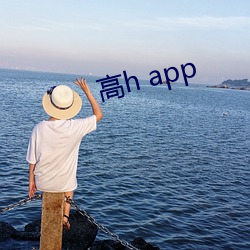 高h app