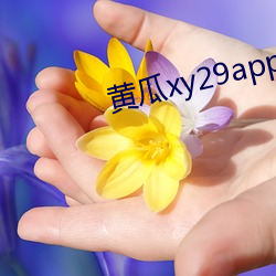 黄瓜xy29app （池鱼之祸）