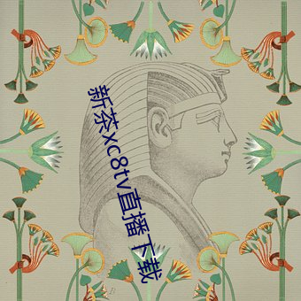 新茶xc8tv直播下载