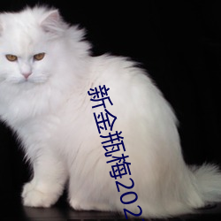 新金瓶梅2023