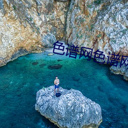 色(色)谱(譜)网(網)色谱网(網)络