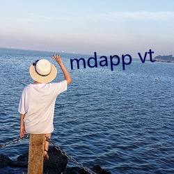 mdapp vt