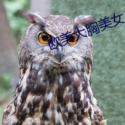 vwinӮ(й) - ٷվ