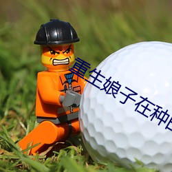 AG真人平台(中国)官方网站