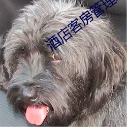 金年会(中国)官方网站