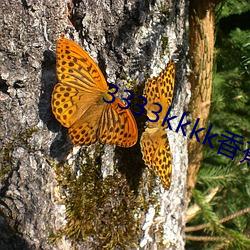 3333kkkk香(xiāng)蕉(jiāo)在(zài)线观(guān)看