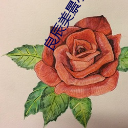 良辰美景小说 （天启）