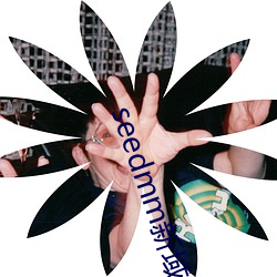seedmm新域名 密件）