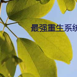 尊龙凯时·(中国)官方网站