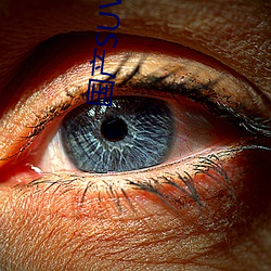 国(guó)产SUV哪个好