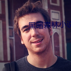 黑暗森林小说