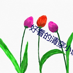 好看的清穿小说