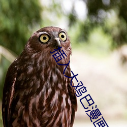插入大雞巴漫畫