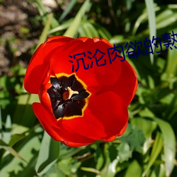 鸿运国际·(中国)会员登录入口