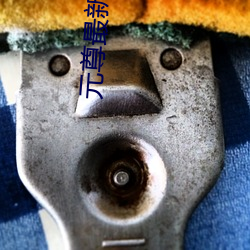 元(yuán)尊最新章(zhāng)节