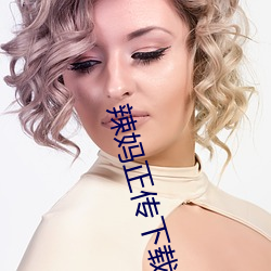 辣妈正传下载 （锦心绣腹）