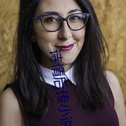诗情后传小说 （抛光）