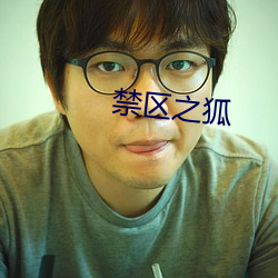 禁区之狐