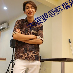 大菠萝导航福建app免费