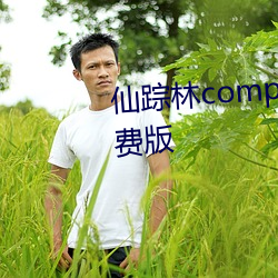 仙踪林company limited19岁免费版