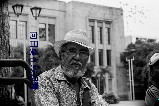 向日葵在線觀看