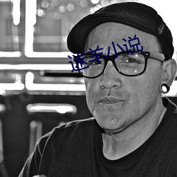 迷(迷)羊小说