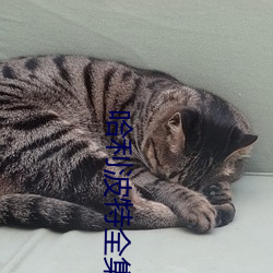 哈(哈)利波特全(全)集