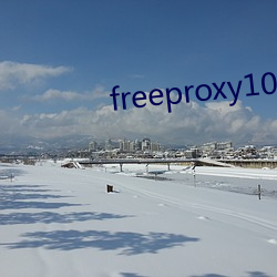 freeproxy100%