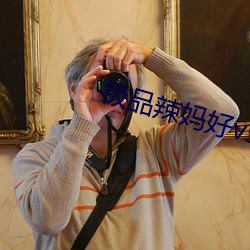 极品辣妈好v5