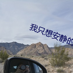 我只想安静的打游戏
