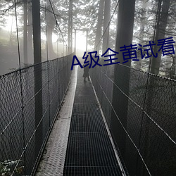 A级全(quán)黄试(shì)看60分(fēn)钟