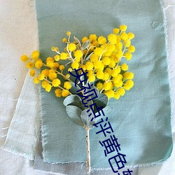 央视点评黄色软件下载免费3.0.3每天三次vivo版破解 （守口如瓶）