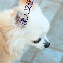 黑(黑)人又粗又大(大)BBBXXX黄(黃)