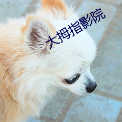 大拇指影院