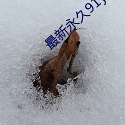 九游会登录j9入口 - 中国官方网站 | 真人游戏第一品牌