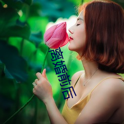 离婚前后