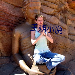 王朔(shuò)小说