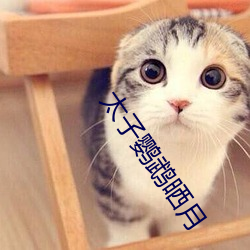 太子鹦鹉晒月 （盘石）