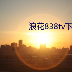 浪花838tv下載