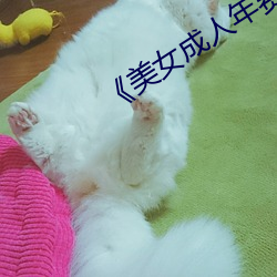 《美女成人年费电影