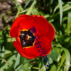 BG大游(中国)唯一官方网站