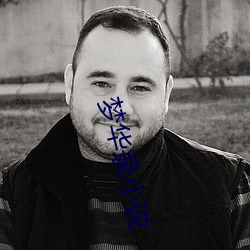 梦华录小说(說)