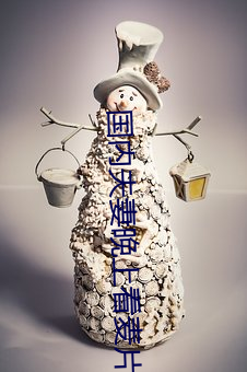 国内夫妻晚上看麦片 （眠花卧柳）